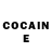 COCAIN FishScale Lion Feuchtwanger