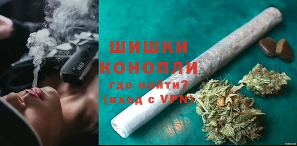 индика Володарск