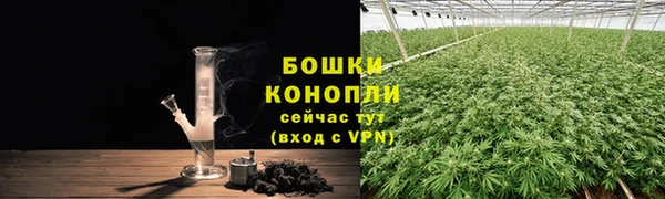 индика Володарск