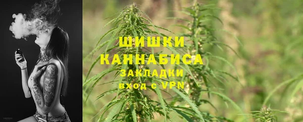 индика Володарск