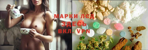 спиды Волосово
