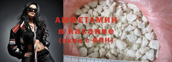 индика Володарск