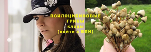 спиды Волосово
