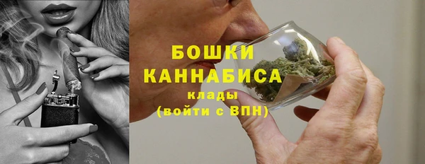 индика Володарск
