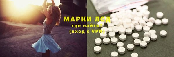 индика Володарск