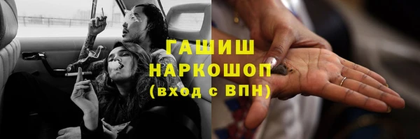 индика Володарск