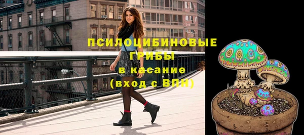 индика Володарск