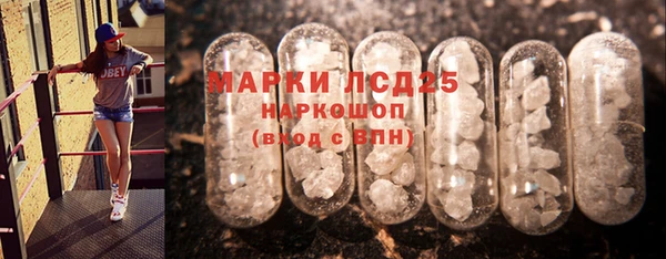 индика Володарск