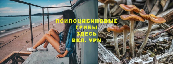 спиды Волосово