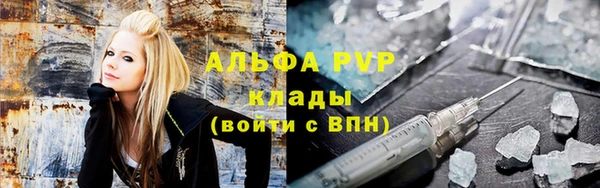 индика Володарск
