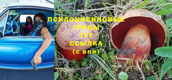 спиды Волосово