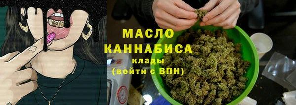 индика Володарск