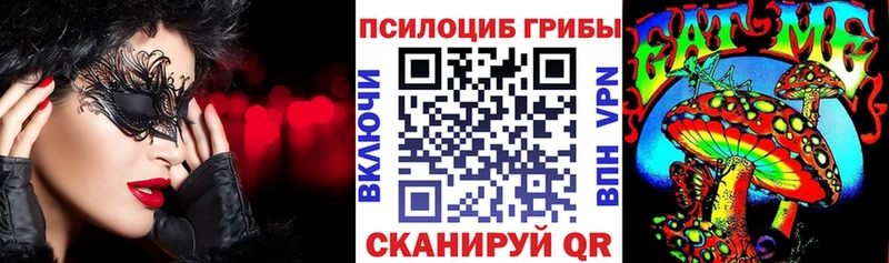 как найти наркотики  Томмот  Галлюциногенные грибы Psilocybe 
